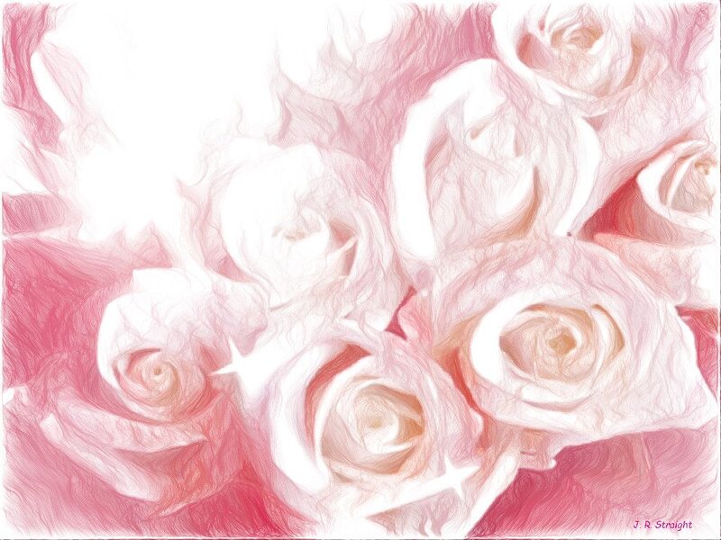 Pink Roses in Bouquet — Serene, Digital Art