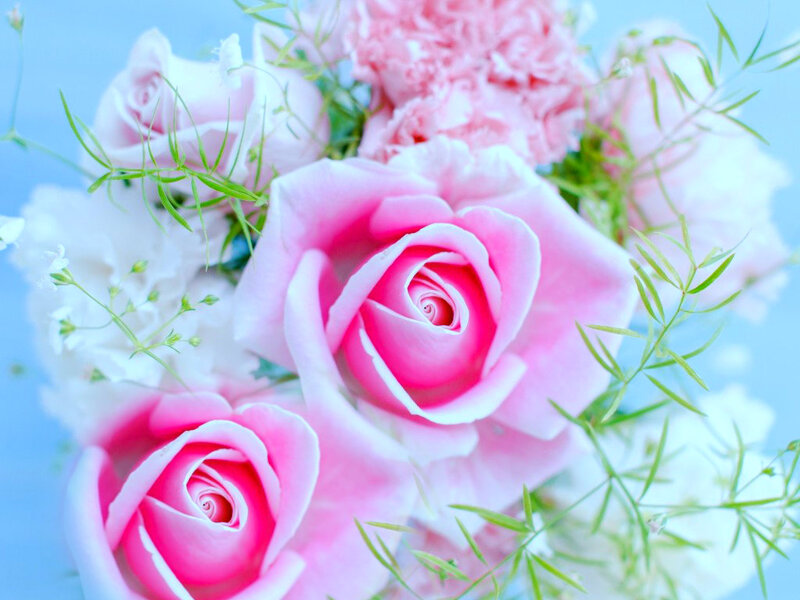 Pink Roses in Bouquet — Serene, Spring