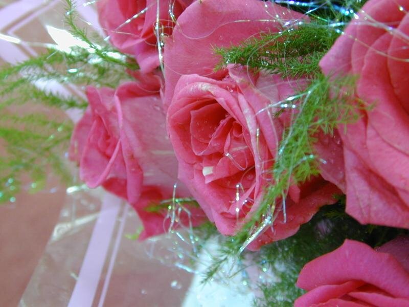 Pink Roses in Bouquet