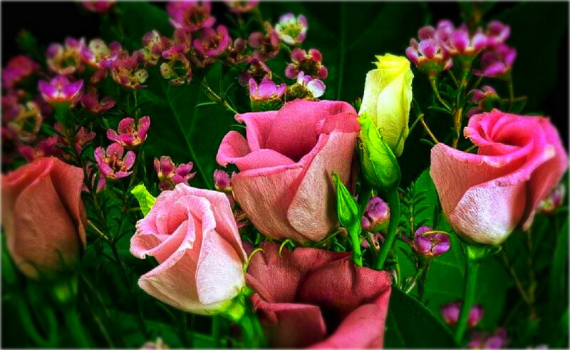 Pink Roses in Bouquet — Vibrant
