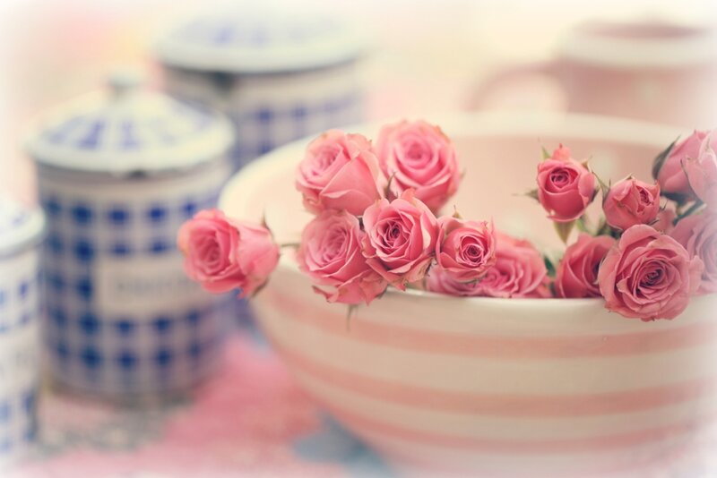 Pink Roses in Bowl — Calm, Photograph