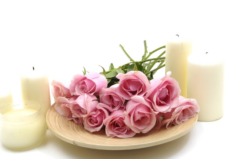 Pink Roses in Bowl — Serene