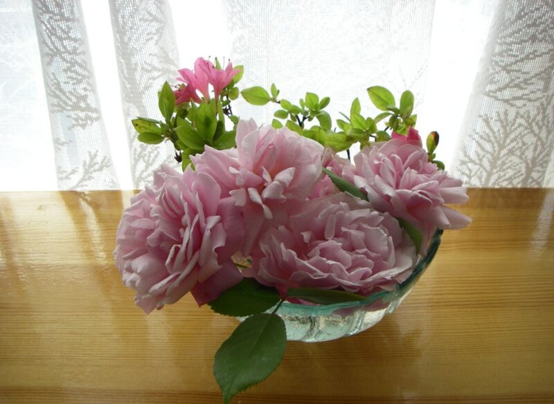Pink Roses in Bowl