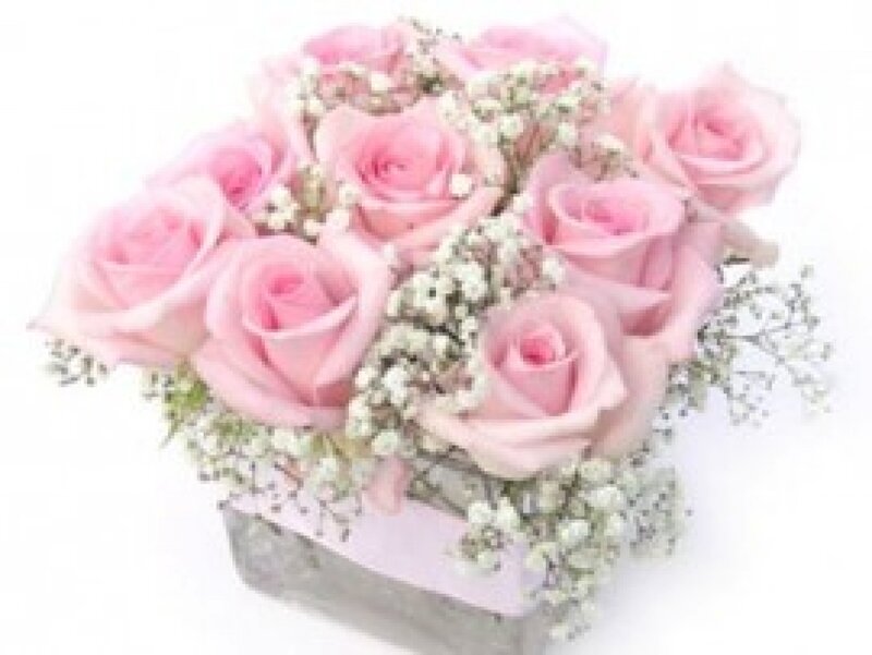 Pink Roses in Box — Calm, Photograph, Baby's Breath