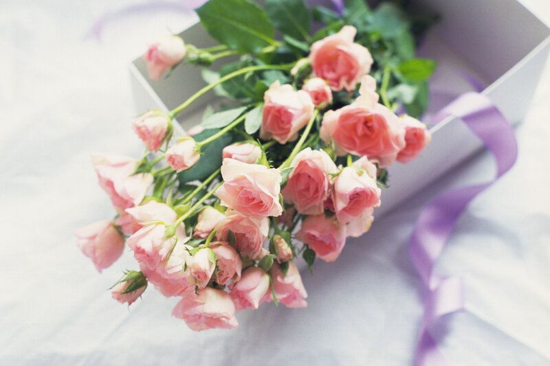 Pink Roses in Box — Calm, Photograph, Ribbon