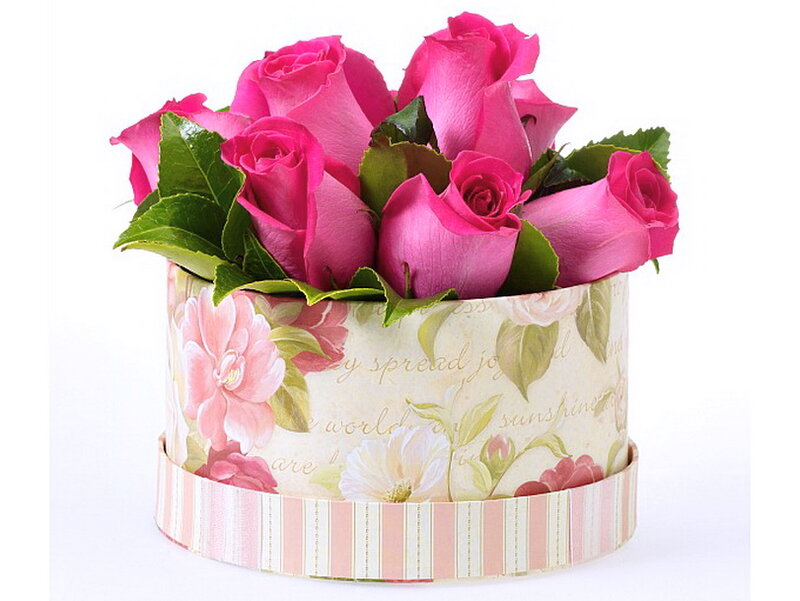 Pink Roses in Box — Calm, Photograph