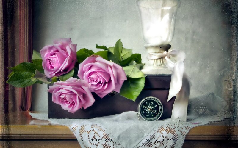 Pink Roses in Box — Purple, Serene