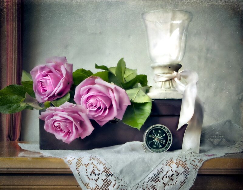 Pink Roses in Box — Purple