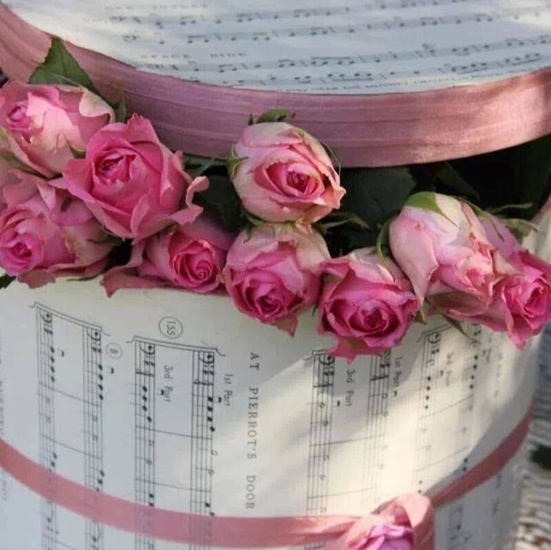 Pink Roses in Box — Romantic, Afternoon