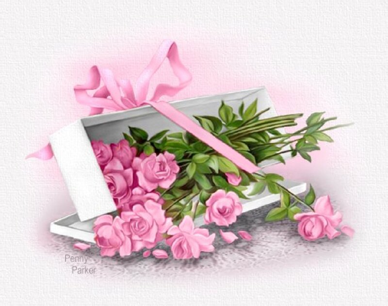 Pink Roses in Box — Romantic, Illustration