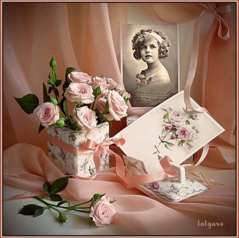 Pink Roses in Box — Sentimental