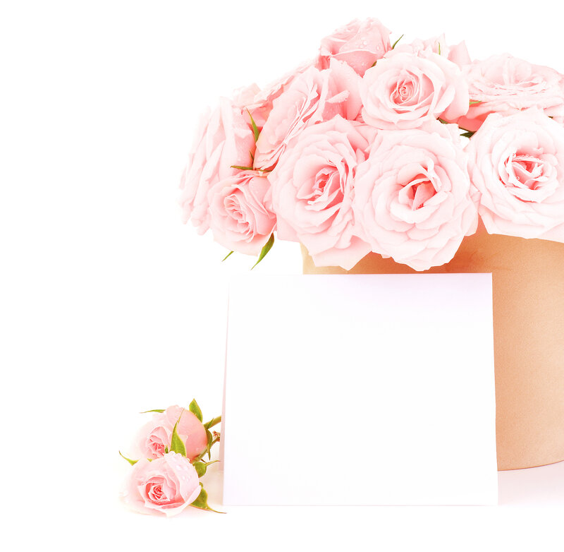 Pink Roses in Box — Serene, Photograph, Card