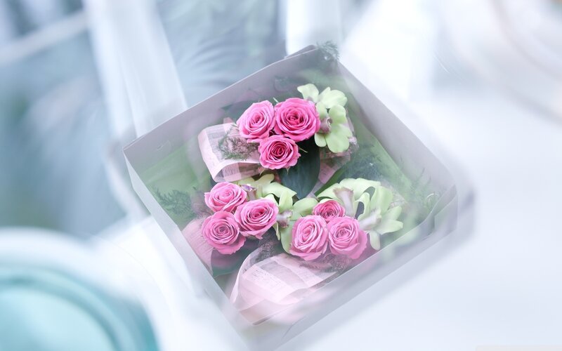 Pink Roses in Box — Serene, Photograph, Flowers, Ribbon