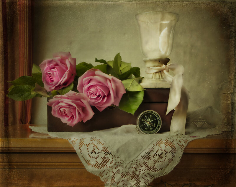 Pink Roses in Box — Serene, Photograph