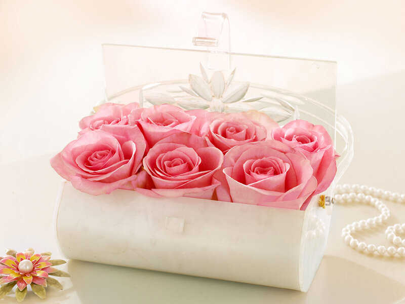 Pink Roses in Box — Serene