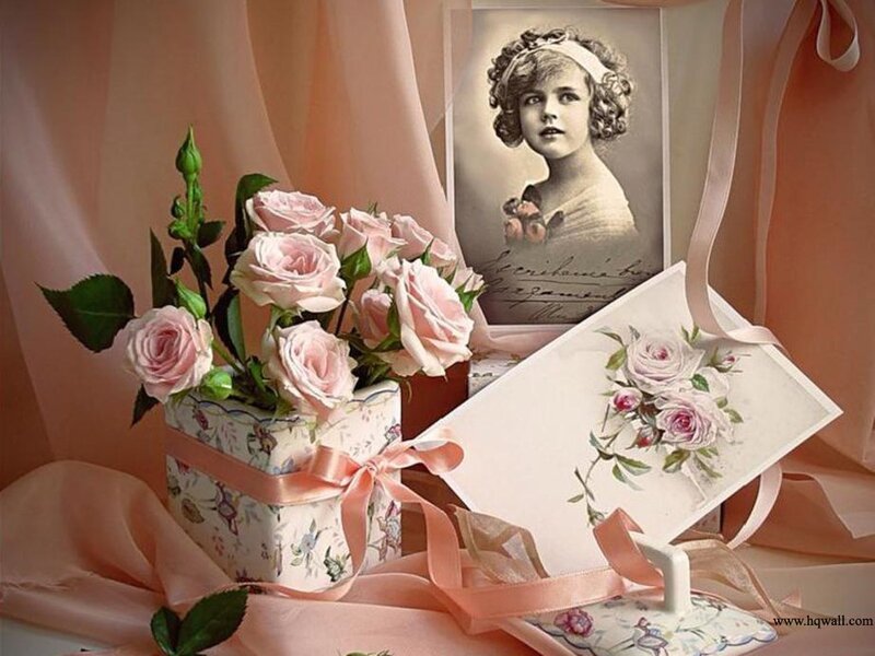 Pink Roses in Box