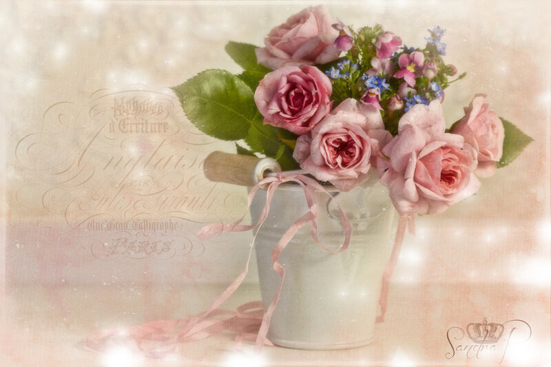 Pink Roses in Bucket — Romantic