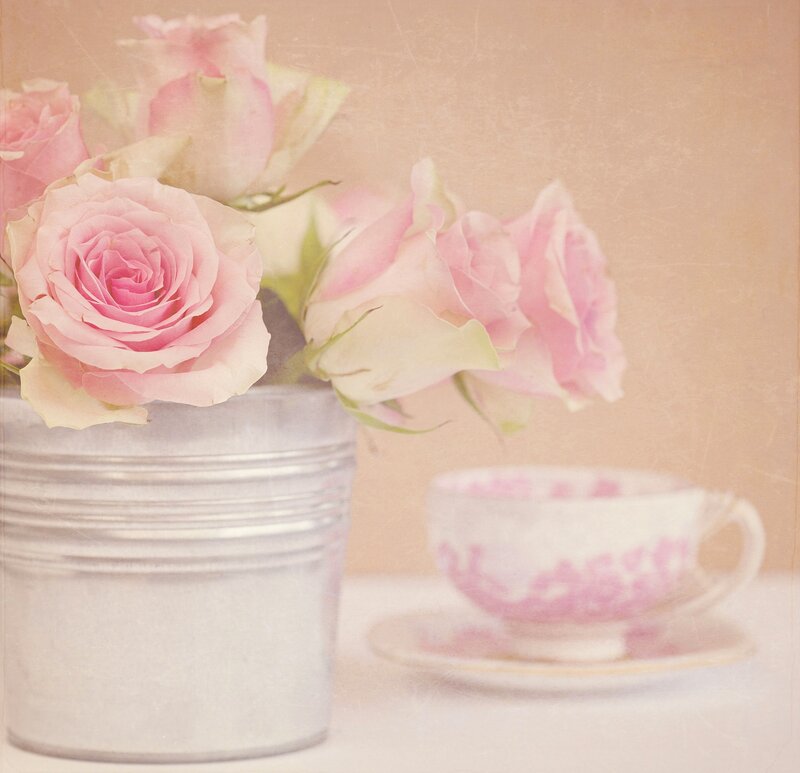 Pink Roses in Bucket — Serene