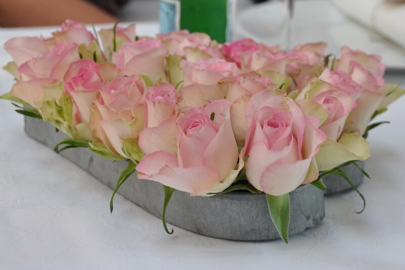 Pink Roses in Container