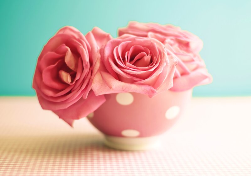 Pink Roses in Cup — Calm, Photograph, Tablecloth