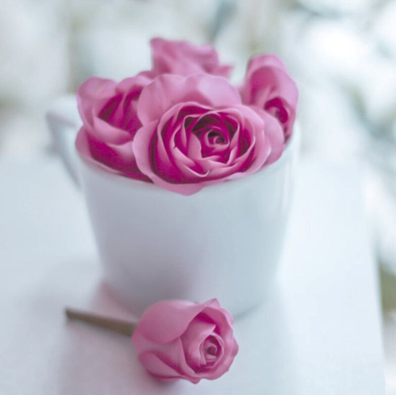 Pink Roses in Cup — Serene, Photograph