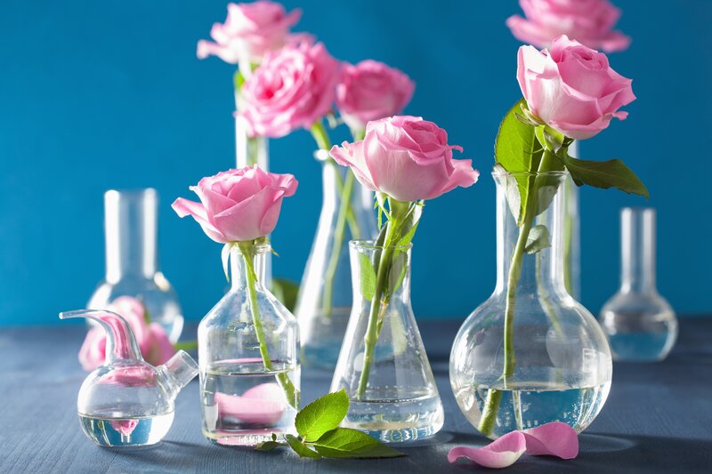 Pink Roses in Flasks