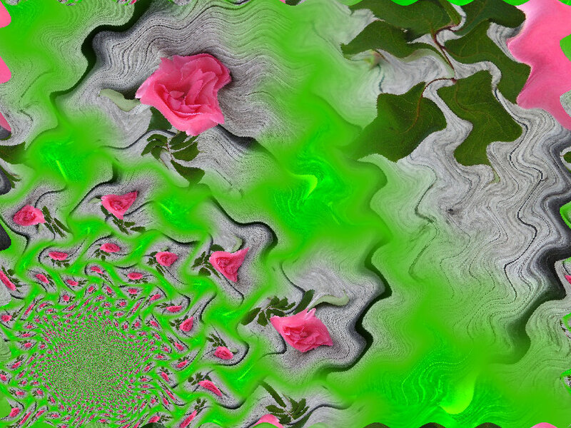 Pink Roses in Fractal Pattern