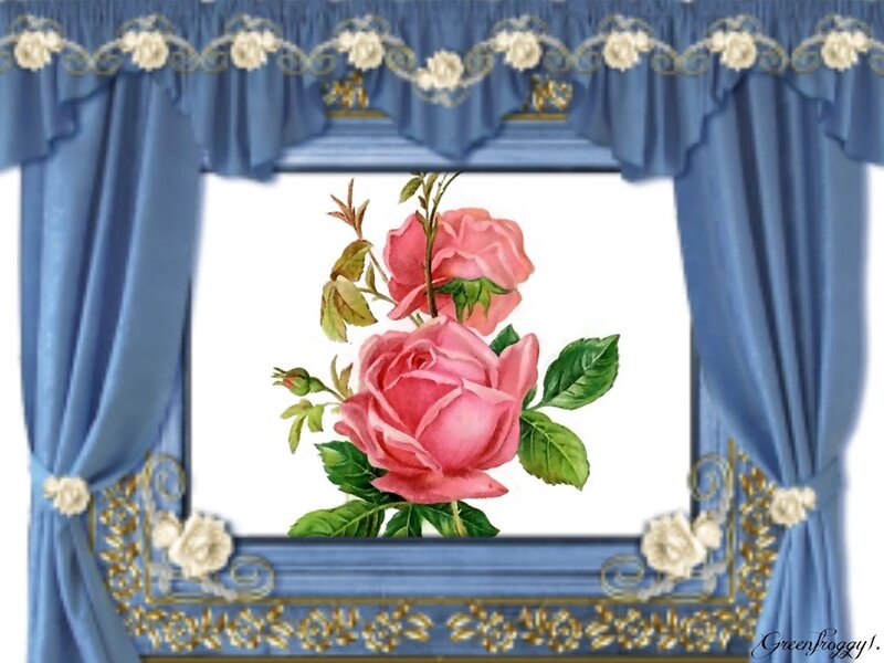 Pink Roses in Frame — Blue
