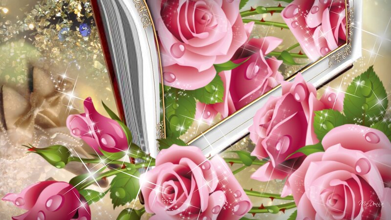 Pink Roses in Frame