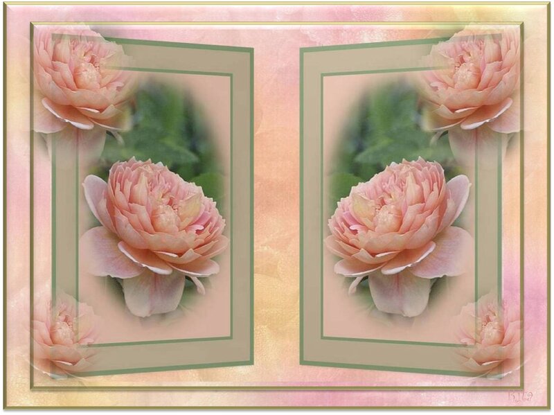 Pink Roses in Frames