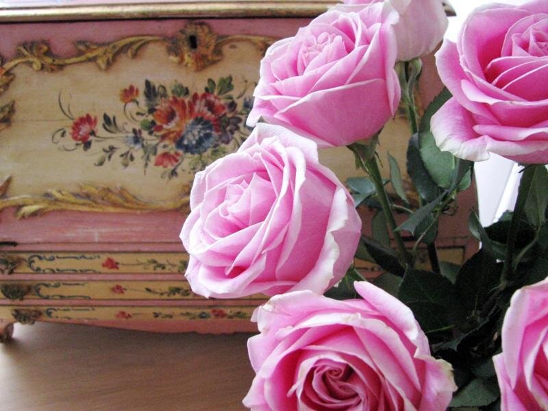Pink Roses in Front of Chest