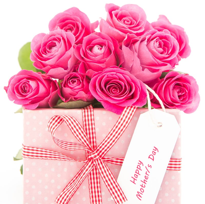 Pink Roses in Gift Box — Festive