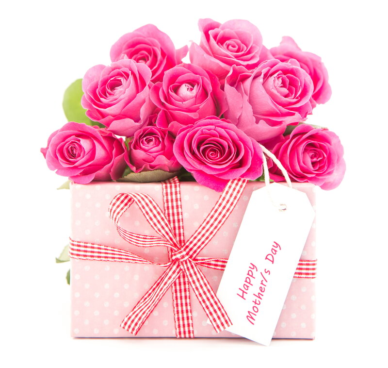 Pink Roses in Gift Box