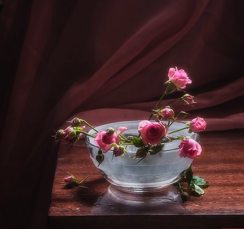 Pink Roses in Glass Bowl — Dramatic, Photograph