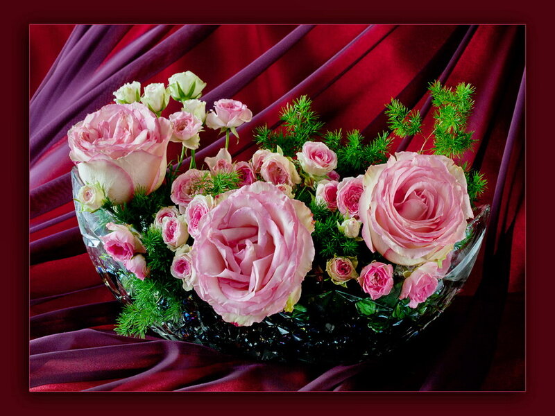 Pink Roses in Glass Bowl — Dramatic