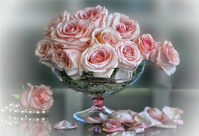 Pink Roses in Glass Bowl — Serene, Photograph