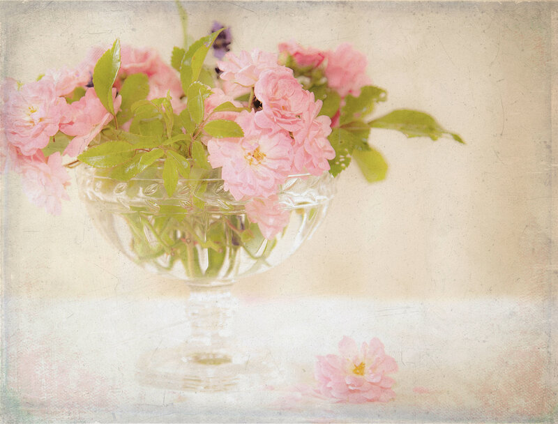 Pink Roses in Glass Bowl — Serene, Spring