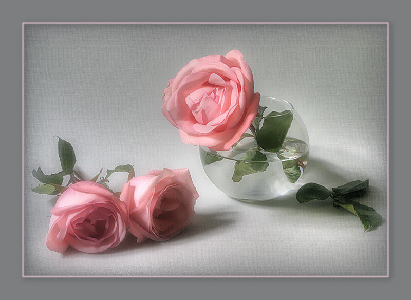 Pink Roses in Glass Bowl — Serene