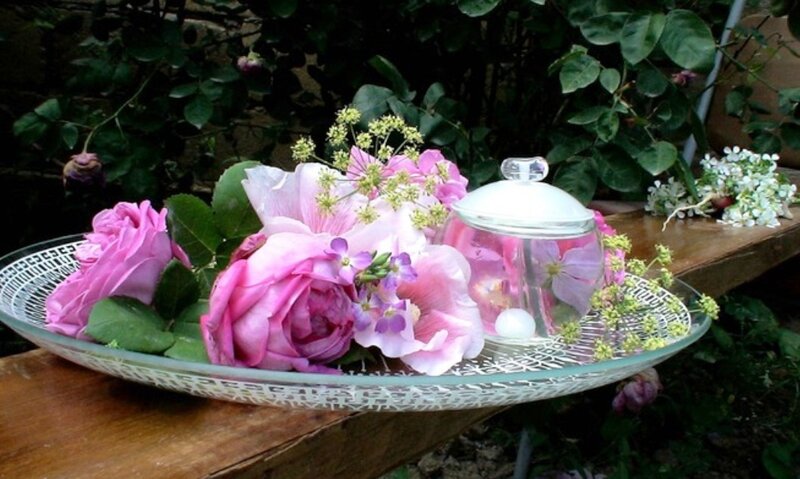 Pink Roses in Glass Bowl