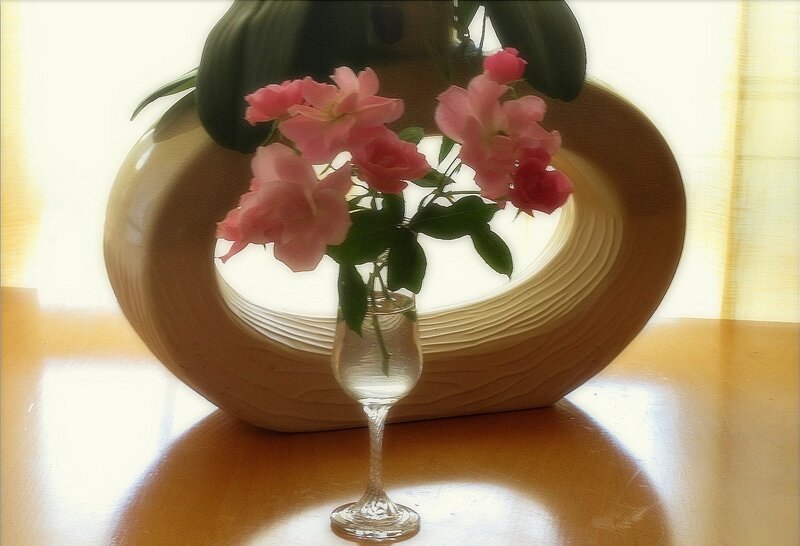 Pink Roses in Glass — Serene, Afternoon