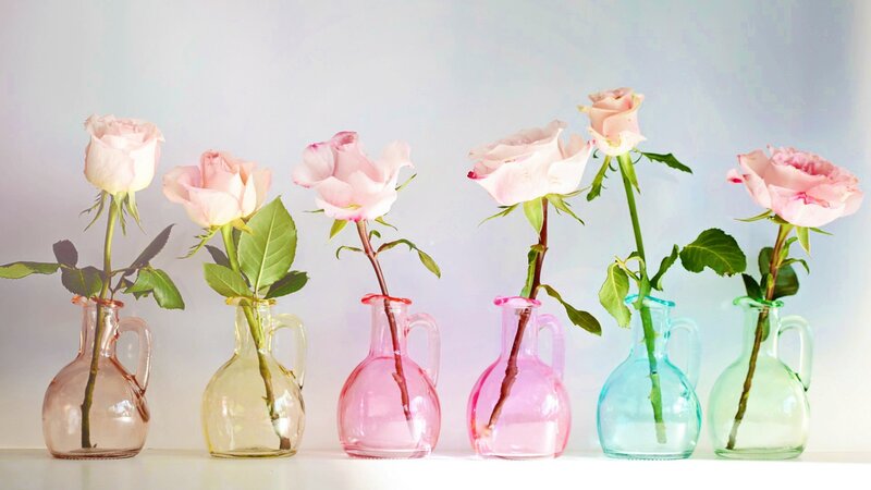 Pink roses in glass vases