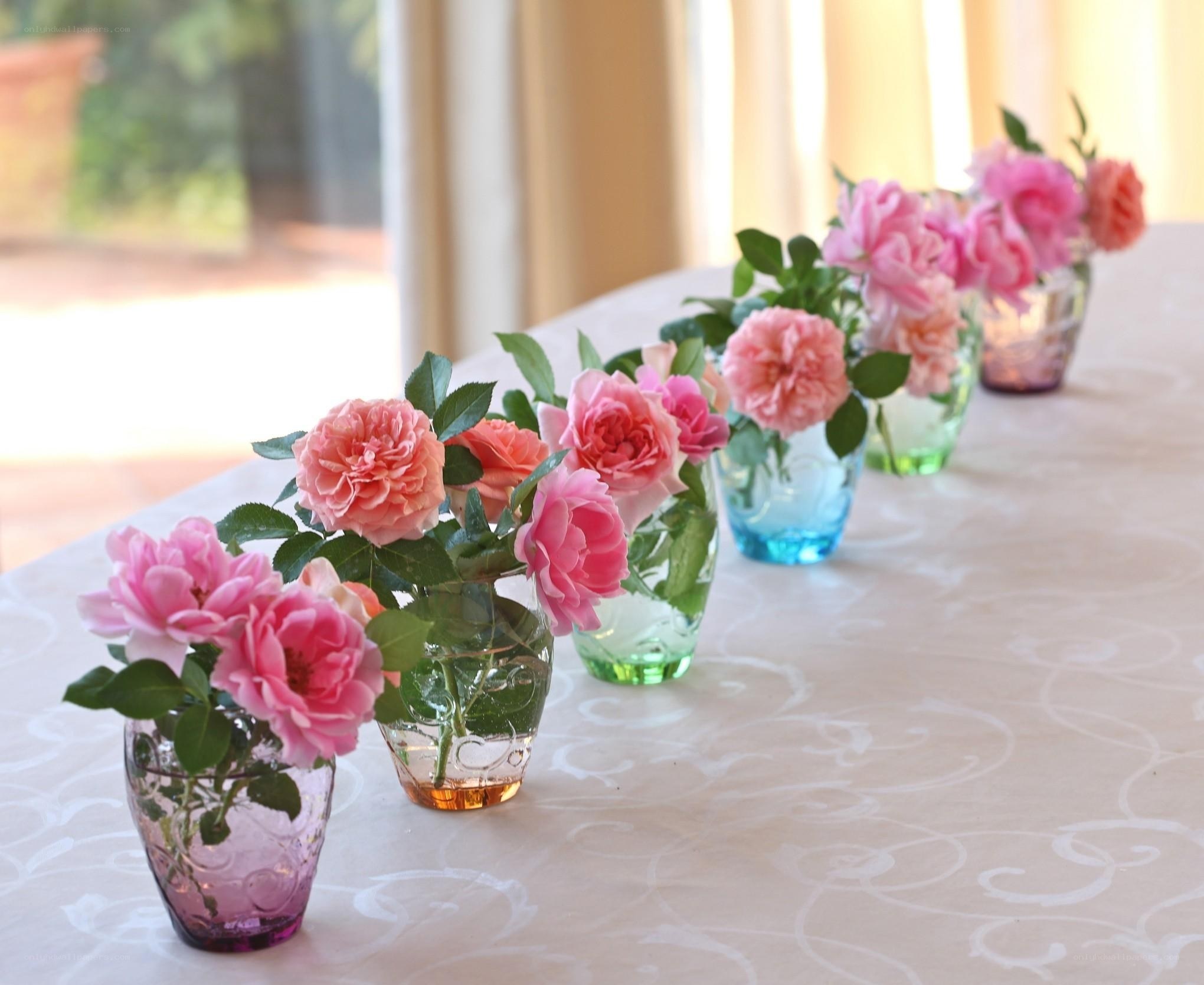 Pink roses in glass vases