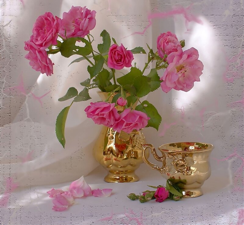 Pink Roses in Gold Vase — Serene