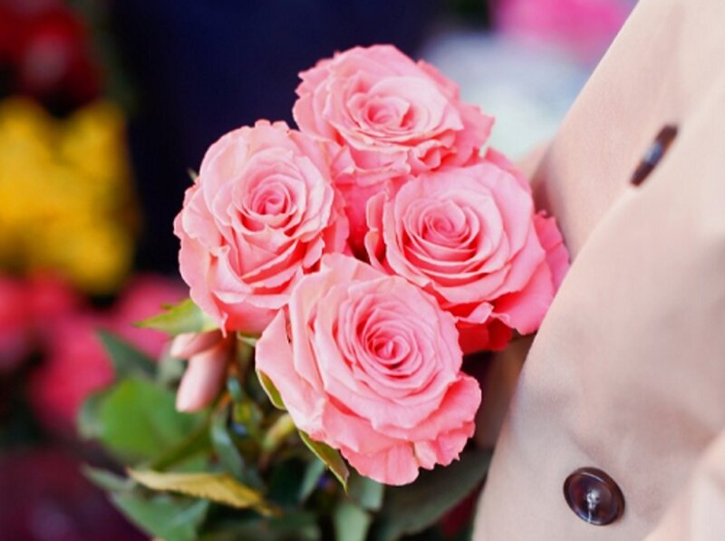 Pink Roses in Hand