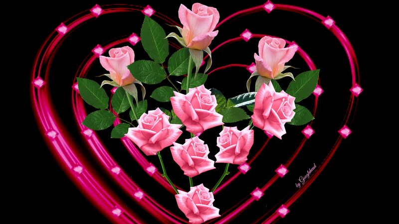 Pink Roses in Heart — Romantic, Digital Art