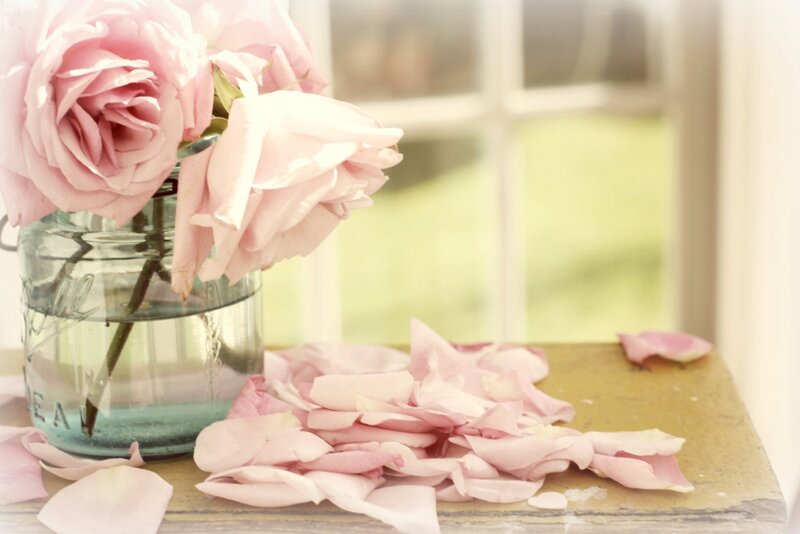 Pink Roses in Jar — Serene