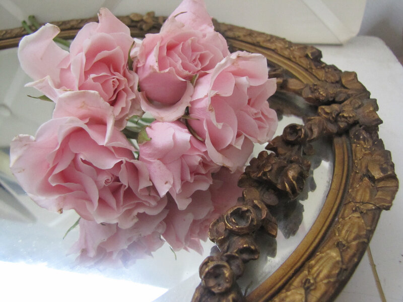 Pink Roses in Mirror