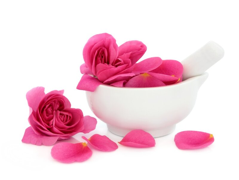 Pink Roses in Mortar