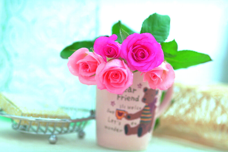 Pink Roses in Mug