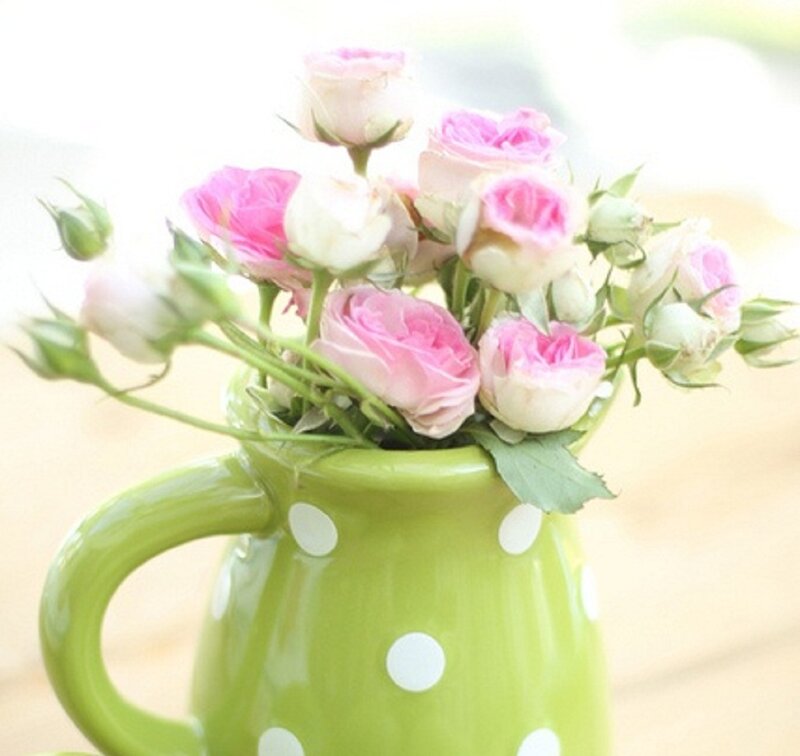 Pink Roses in Pitcher — Green
